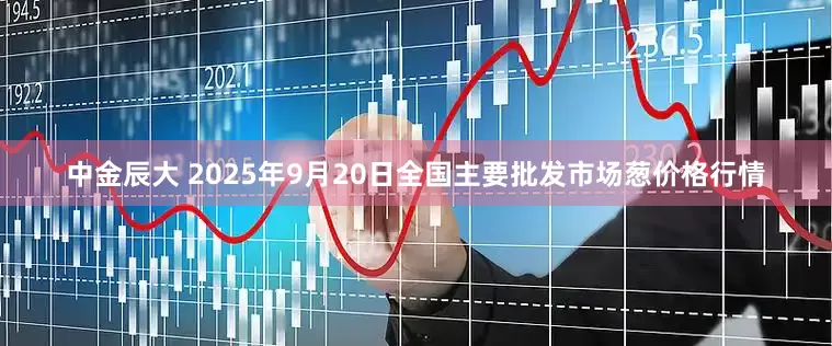 中金辰大 2025年9月20日全国主要批发市场葱价格行情