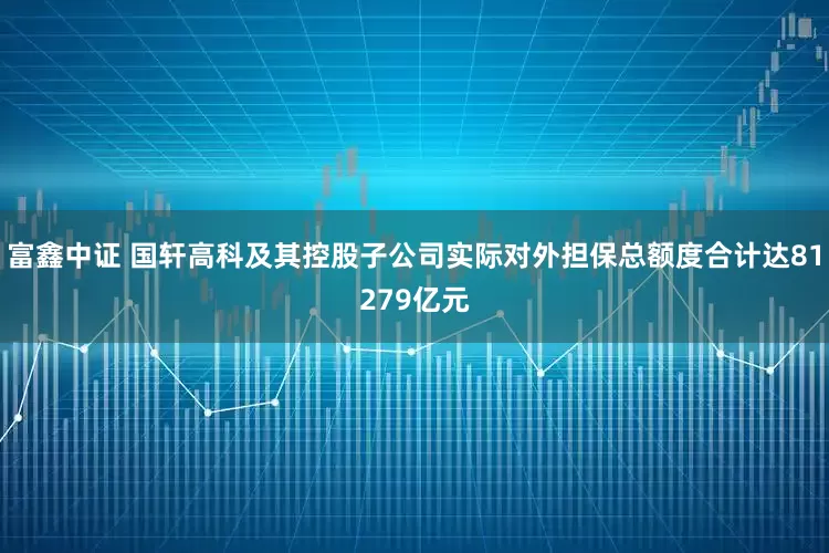富鑫中证 国轩高科及其控股子公司实际对外担保总额度合计达81279亿元