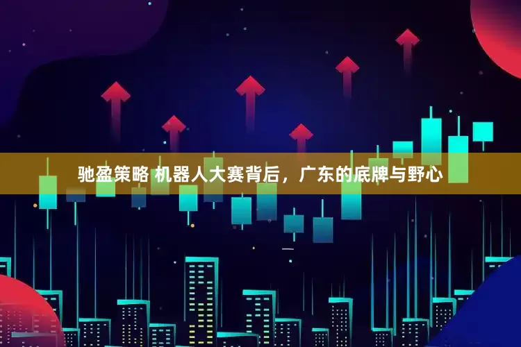 驰盈策略 机器人大赛背后，广东的底牌与野心